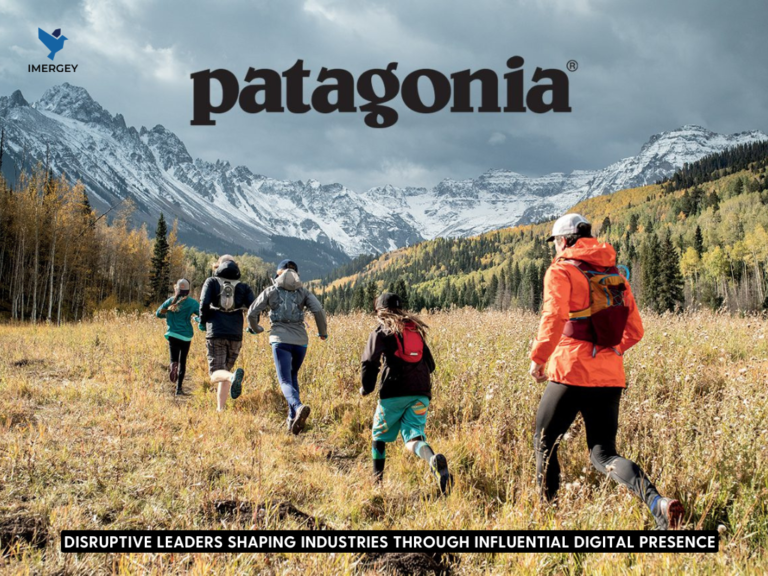 Company Case Study: Patagonia